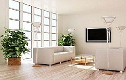 新裝修的房子怎么去甲醛 環(huán)保衛(wèi)生小技巧